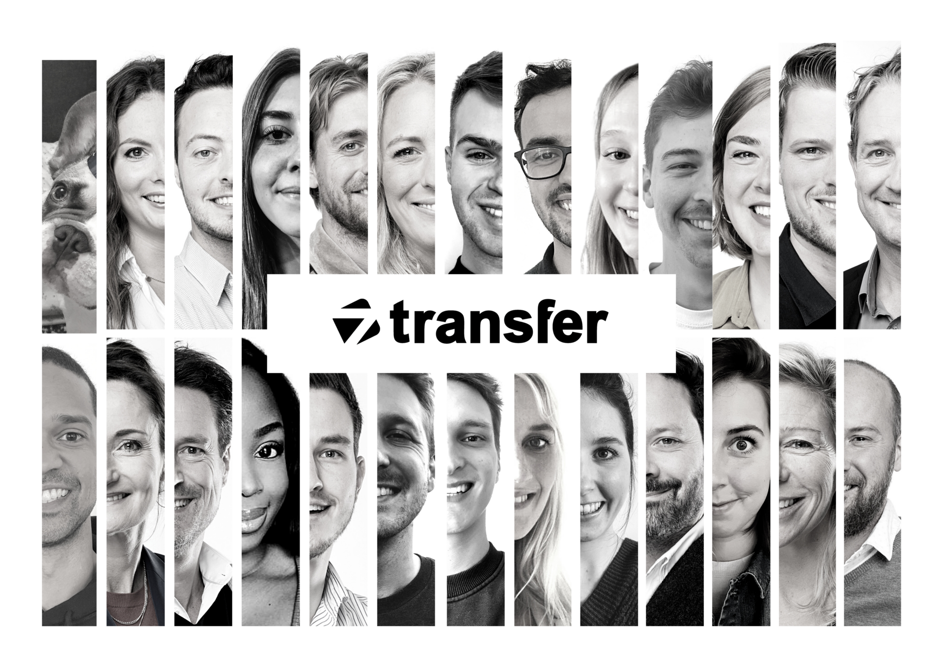 The House of Thematics - Transfer - 2022 - Team
